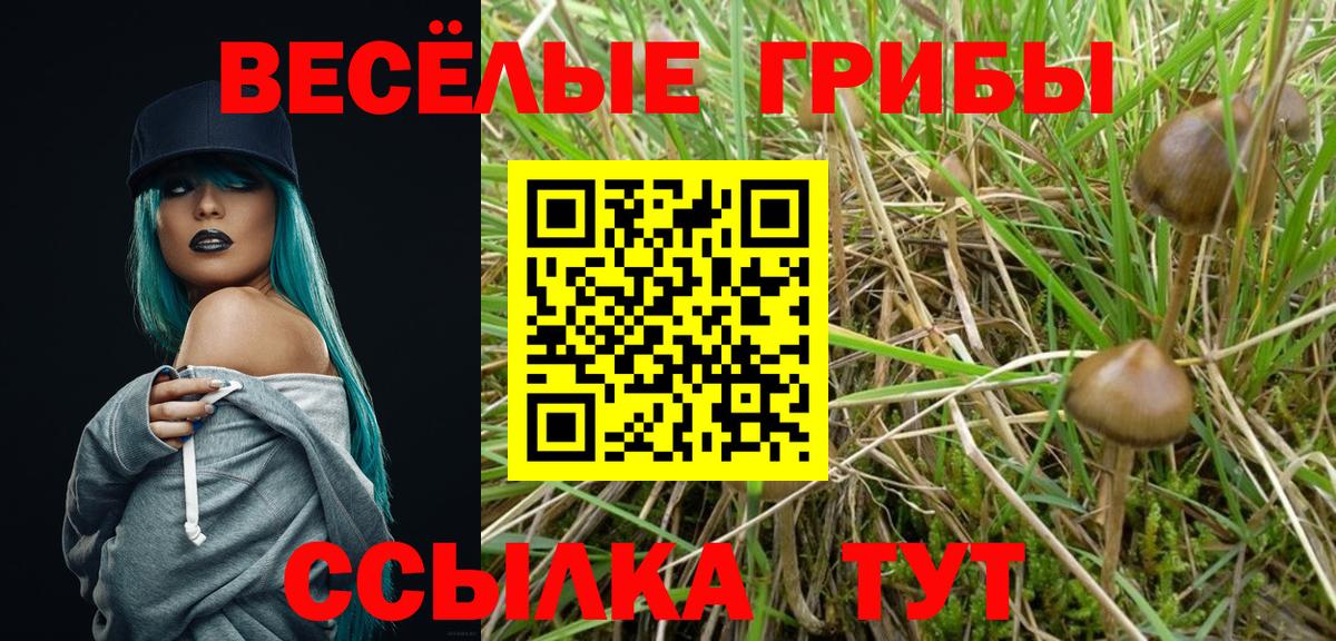 Галлюциногенные грибы Psilocybine cubensis  Вход с VPN  Рыбинск  Псилоцибиновые грибы Magic Shrooms 