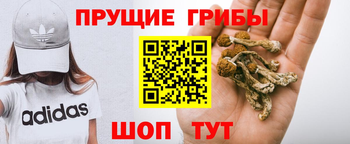 Галлюциногенные грибы MAGIC MUSHROOMS Рыбинск